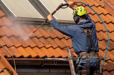 Démoussage et hydrofuge de toiture à Pressins